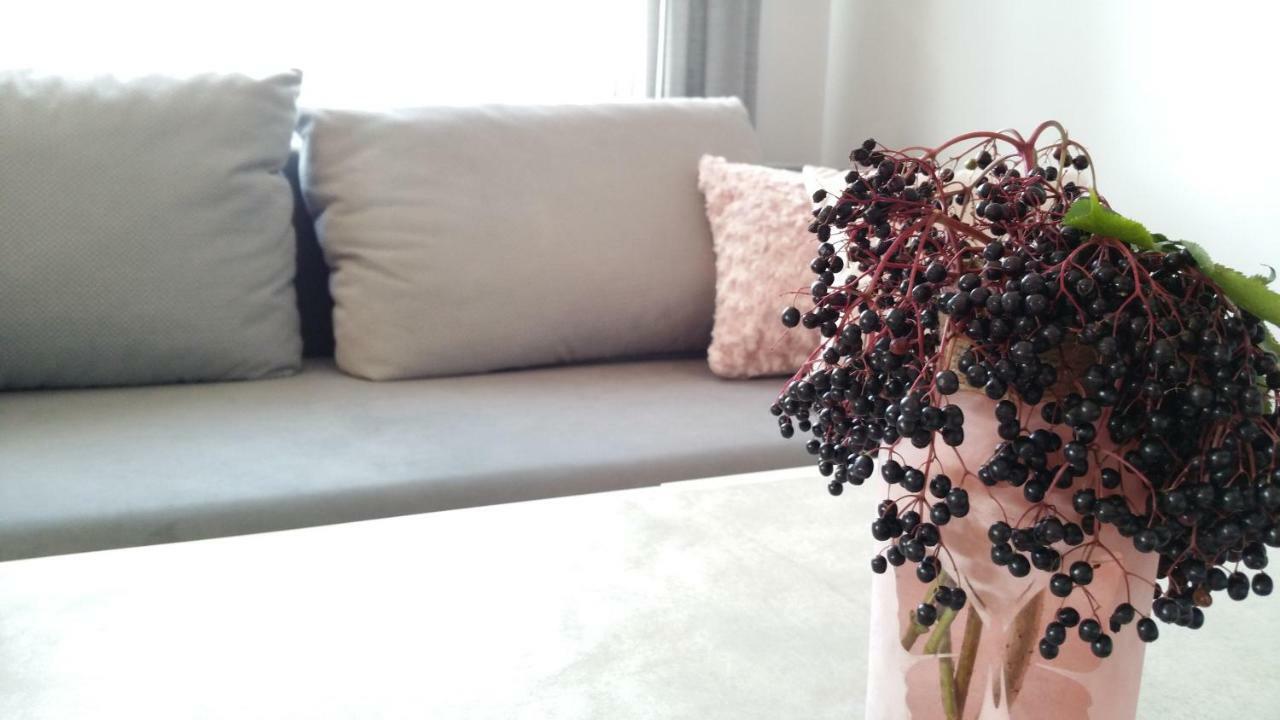 Royals Flower Apartments III 크라쿠프 외부 사진